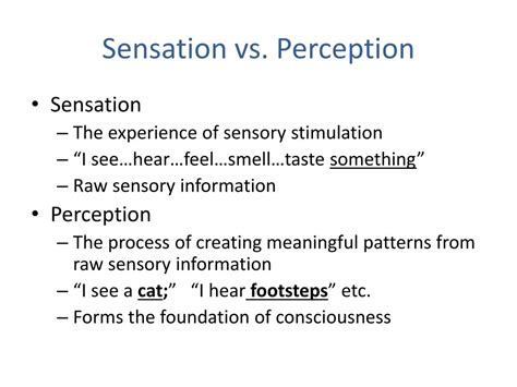 Ppt Sensation And Perception Powerpoint Presentation Free Download