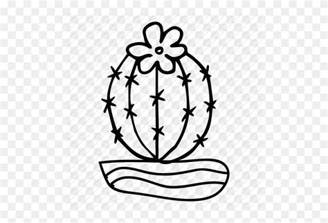 Cactus Cactus Outline Clipart Stunning Free Transparent Png