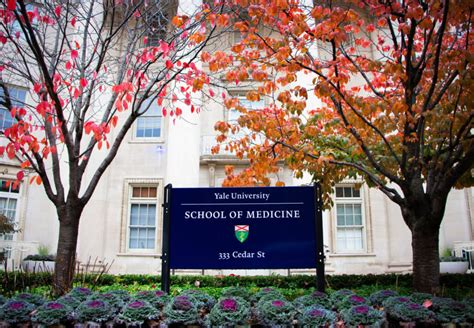 Yale School Of Medicine Strategic Plan For Medical Education