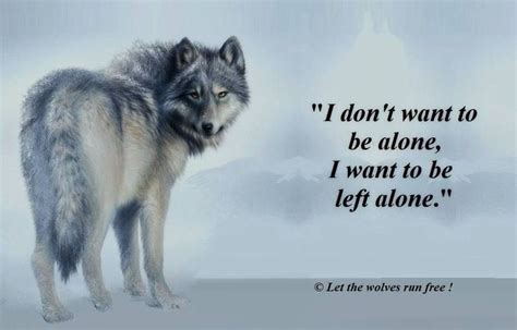 Wolf Sanctuary On Twitter Wolf Motivational Quote Courtesy Of Let