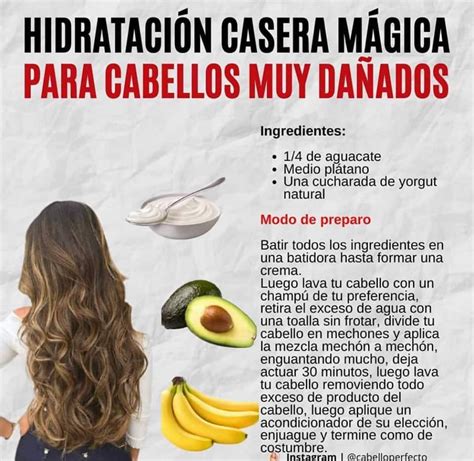 Los 26 Mejores Remedios Caseros Para Tu Cabello ️ 【lo Mejor De 2024