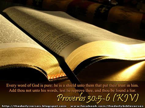 Daily Bible Verses Proverbs 305 6