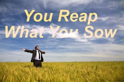 'you reap what you sow'! Quotes About Reaping What You Sow. QuotesGram