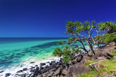 Australia S Best Beaches Popsugar Australia Smart The Best Porn Website