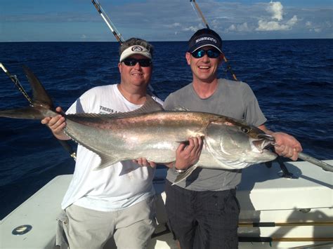 Amberjacks Are Snapping Today In Ft Lauderdale Fishing Headquarters