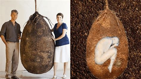 The Biodegradable Burial Pod Turns Your Body Into A Tree Rinterestingasfuck