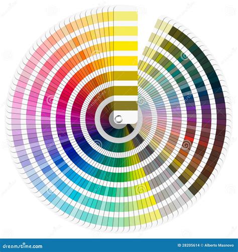 Pantone Color Palette Stock Illustration Illustration Of Isolated