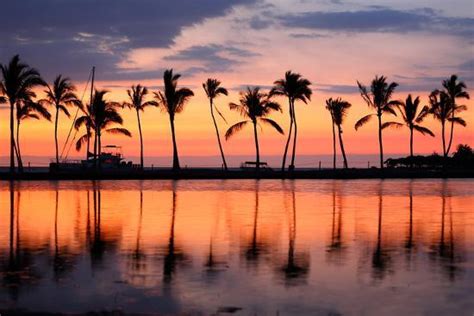 Paradise Beach Sunset Or Sunrise With Tropical Palm Trees Summer