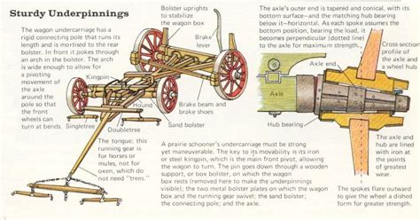 Covered Wagon Undercarriage Diagram Horse Wagon Wood Wagon Horse