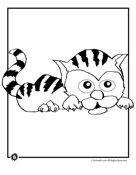 Tiger Coloring Pages Animal Jr