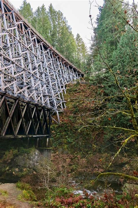 The Abandoned Trestle Photograph By Spacewalk