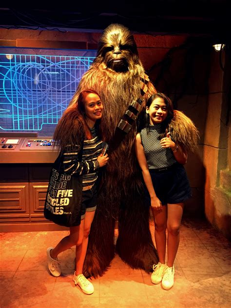 Meet And Greet With Chewbacca Chewbacca Flapper Dress Fashion