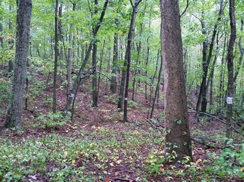 A Mike Who Likes to Hike