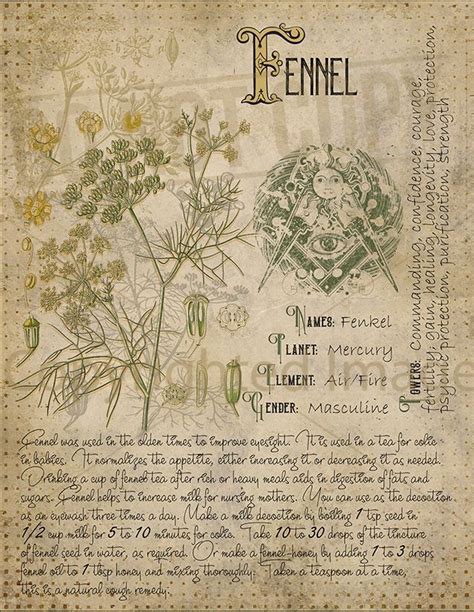 A book of shadows is a book containing religious text and instructions for magical rituals found within the neopagan religion of wicca.since its conception in the 1970s, it has made its way into many pagan practices and paths. Book of Shadows, Printable pages of Herbs, Witchcraft ...