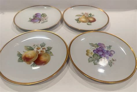 Hutschenreuther Selb Bavaria Fruits Plates 4 All True Etsy