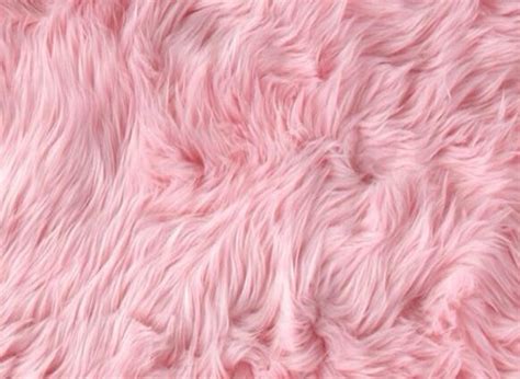 Wallpaper Pink Furry Background Mahilanya