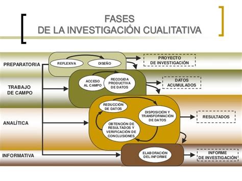 Fases Y Etapas De La Investigacion Cuantitativa Flashcards Images