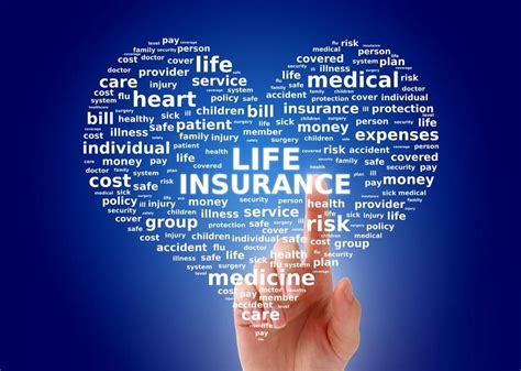 What You Can Do To Reduce Cost Of Your Life Insurance Policy Canyon News