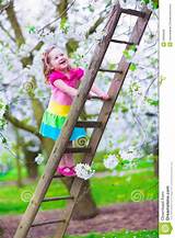 Pictures of Tree Climbing Ladder