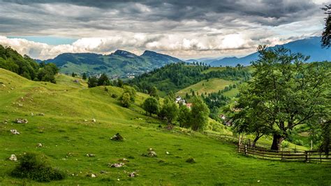 Brasov Romania Meadows Field Mountains Grass Clouds Wallpaper