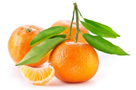 Orange Fruit Extract Krishana Enterprises