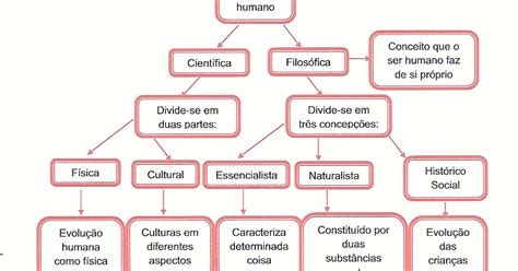 20 Images Unique Mapa Conceitual Sobre Antropologia