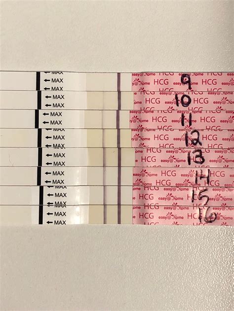 9 Dpo To 16 Dpo With Easyhome Saying Goodbye To Testing Since It Was