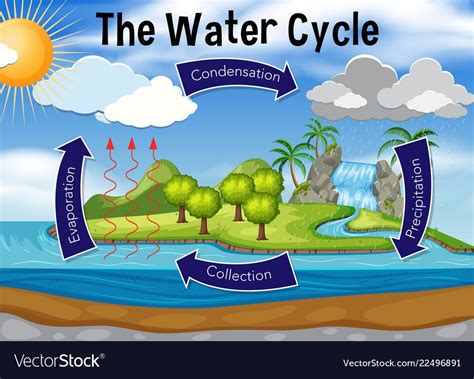 Cycle Pictures New Pictures About Water Cycle Science Illustration