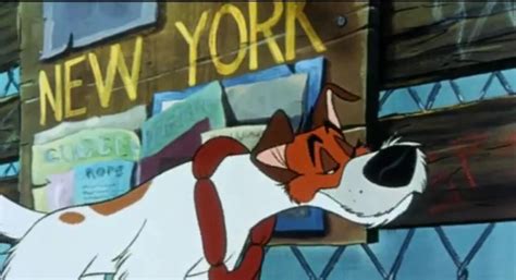 Why Should I Worry Oliver And Company S Dodger Photo 36973222 Fanpop