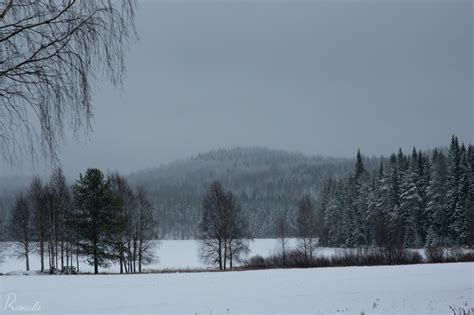 Winter Wonderland Rlandscapephotography