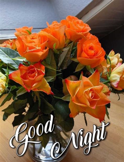 Pin by Aditi Kumari on Good night image | Good morning flowers, Good ...