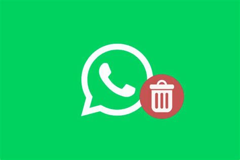 Whatsapp Cómo Recuperar Una Foto Borrada Por Error