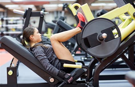 Squats Vs Leg Press Gym Plan Workouts App