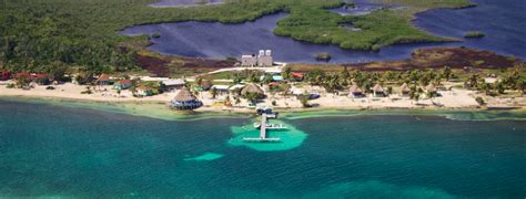 Blackbird Caye Resort Reviews And Specials Bluewater Dive Travel