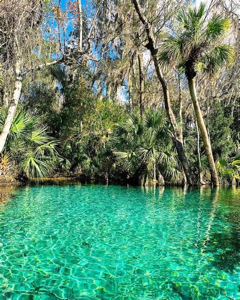 Rainbow Springs Beautiful And Preserved As A State Park