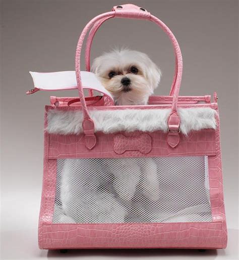 Pet car safety seat breathable waterproof cat dog travel carrier. Small Dog Pet Carrier and Carrier Purses - for life and style