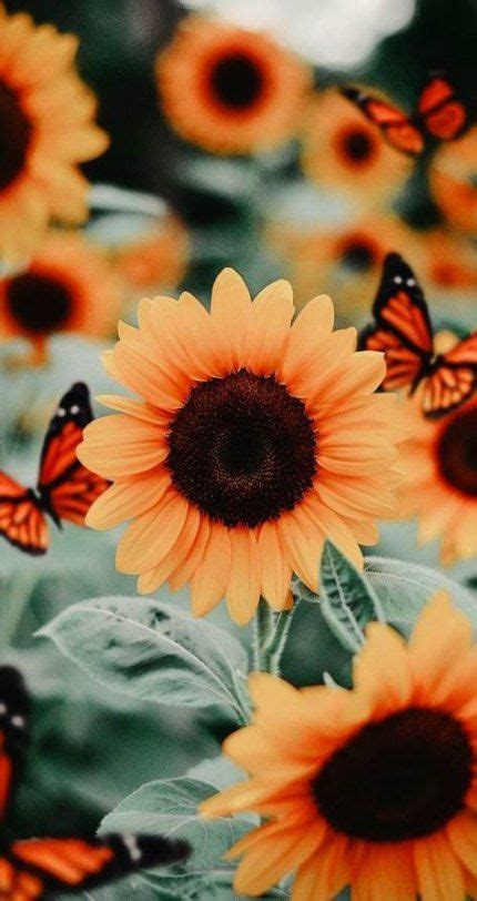 These are the search results for flowers. 36+ Ideas Sunflower Wall Paper Vintage Aesthetic in 2020 ...