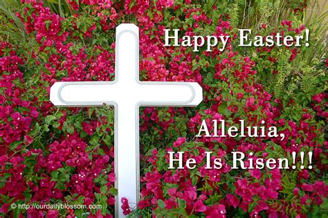 View this on artstation joshua kim on artstation. Our Daily Blossom - Part 5