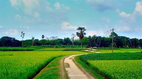 Beautiful Village Lifestyle Of Village People In Bangladesh Visit