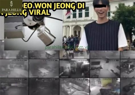 won jeong cctv footage allegations trial and online fallout parahills resort