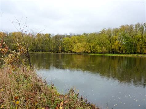 Roselle Park Ada Michigan Grand River Natural Habitat Refuge Grand