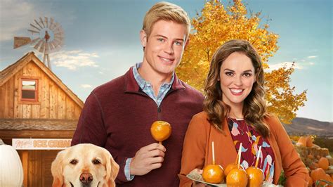 Love Fall And Order 2019 Backdrops — The Movie Database Tmdb