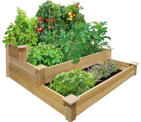 Vegetable Gardening With Raised Beds