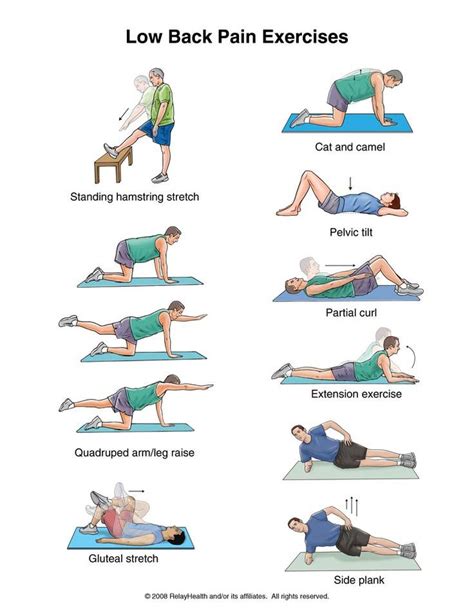Low Back Pain Exercises Ecogreenlove