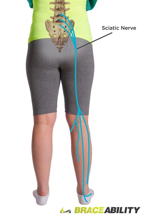 17 years experience physical medicine and rehabilitation. Sciatica Pain Relief Treatment Braces for Pinched Nerve