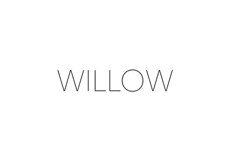 Willow 2018