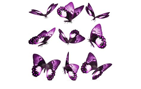 Purple Butterfly Png Icons Icons Free Icon Free Download