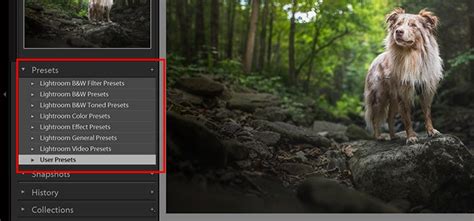 How To Use The Lightroom Preset Settings Step By Step