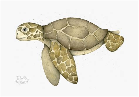 Turtle Art Print A Nursery Art Watercolour Ocean Decor Etsy Turtle