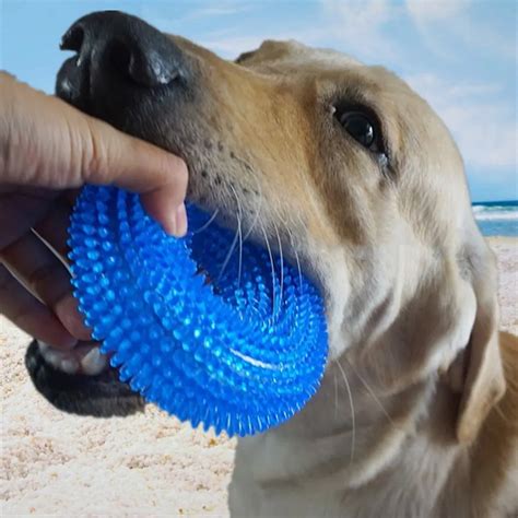 Best 10 Dog Toys Indestructible Reviews And Buying Guide In 2023 Paws